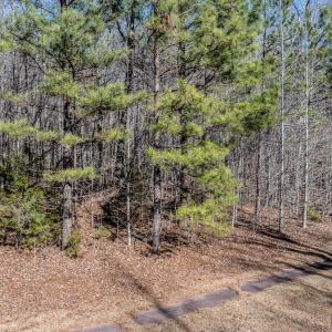 Photo #12 of 49 Larkington, Siler City, NC 4.1 acres