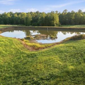 Photo #11 of 233 Buck Gunter, Siler City, NC 6.1 acres