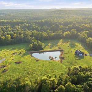 Photo #3 of 233 Buck Gunter, Siler City, NC 6.1 acres