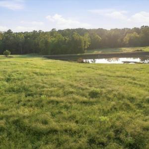 Photo #13 of 233 Buck Gunter, Siler City, NC 6.1 acres