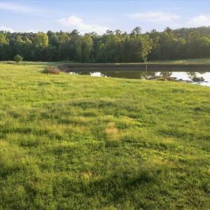 Photo #12 of 233 Buck Gunter, Siler City, NC 6.1 acres