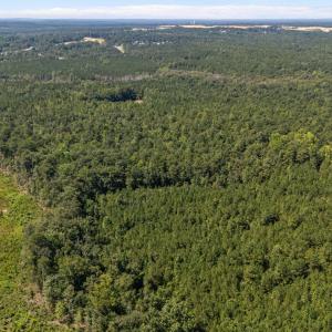 Photo #4 of 1d Ponderosa, Cameron, NC 18.7 acres