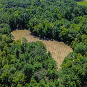 Photo #10 of 138 Lakeside, Chapel Hill, NC 8.0 acres
