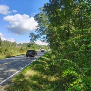 Photo #6 of 3029 Edgemont, Wendell, NC 8.8 acres