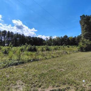 Photo #5 of 3029 Edgemont, Wendell, NC 8.8 acres