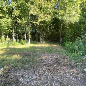 Photo #1 of 260 Sterling, Angier, NC 1.5 acres