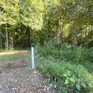 Photo #3 of 260 Sterling, Angier, NC 1.5 acres