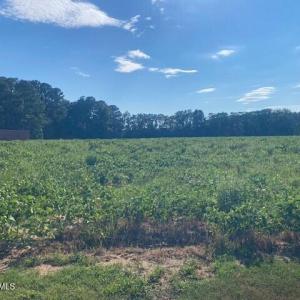 Photo #4 of Stott, Bailey, NC 13.3 acres