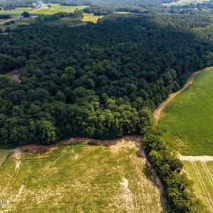Photo #10 of Stott, Bailey, NC 13.3 acres