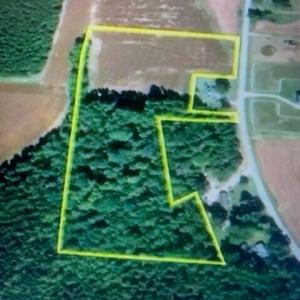 Photo #3 of Stott, Bailey, NC 13.3 acres