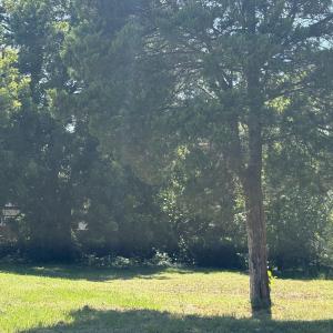 Photo #2 of 1112 Holloway, Durham, NC 0.2 acres