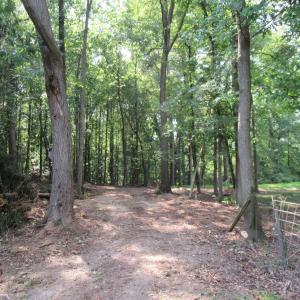 Photo #14 of 2643 Roberts Chapel, Goldston, NC 16.8 acres