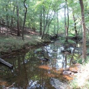 Photo #23 of 2643 Roberts Chapel, Goldston, NC 16.8 acres