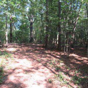 Photo #19 of 2643 Roberts Chapel, Goldston, NC 16.8 acres