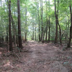 Photo #17 of 2643 Roberts Chapel, Goldston, NC 16.8 acres