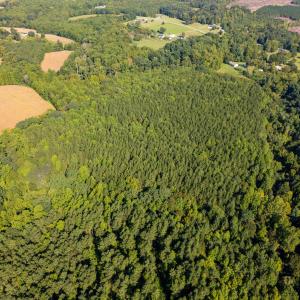 Photo #5 of 2643 Roberts Chapel, Goldston, NC 16.8 acres