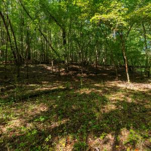 Photo #8 of 2643 Roberts Chapel, Goldston, NC 16.8 acres