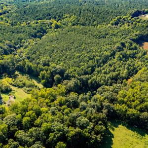 Photo #3 of 2643 Roberts Chapel, Goldston, NC 16.8 acres