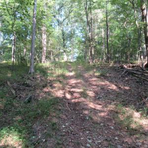 Photo #20 of 2643 Roberts Chapel, Goldston, NC 16.8 acres