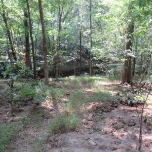 Photo #18 of 2643 Roberts Chapel, Goldston, NC 16.8 acres
