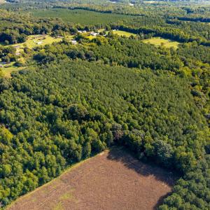 Photo #4 of 2643 Roberts Chapel, Goldston, NC 16.8 acres