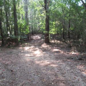 Photo #15 of 2643 Roberts Chapel, Goldston, NC 16.8 acres