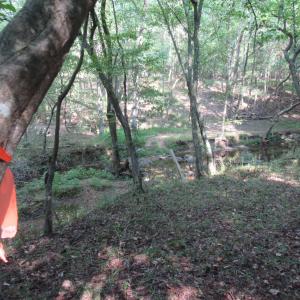 Photo #28 of 2643 Roberts Chapel, Goldston, NC 16.8 acres
