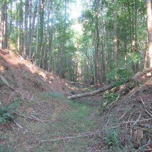 Photo #41 of 2643 Roberts Chapel, Goldston, NC 16.8 acres