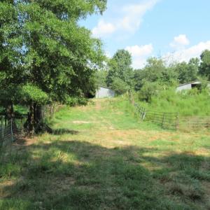 Photo #13 of 2643 Roberts Chapel, Goldston, NC 16.8 acres