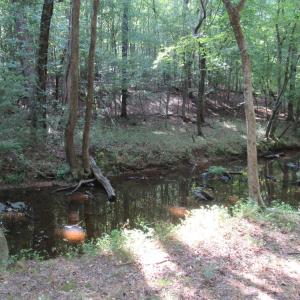 Photo #21 of 2643 Roberts Chapel, Goldston, NC 16.8 acres