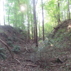Photo #42 of 2643 Roberts Chapel, Goldston, NC 16.8 acres
