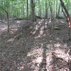 Photo #25 of 2643 Roberts Chapel, Goldston, NC 16.8 acres