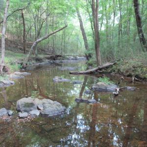 Photo #24 of 2643 Roberts Chapel, Goldston, NC 16.8 acres