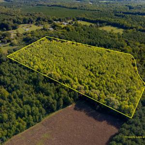 Photo #1 of 2643 Roberts Chapel, Goldston, NC 16.8 acres