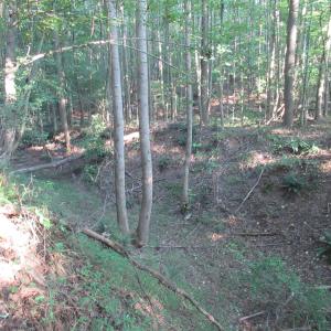 Photo #39 of 2643 Roberts Chapel, Goldston, NC 16.8 acres