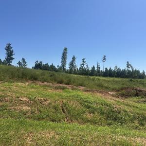 Photo #1 of Lot 6 0 W Old Spring Hope Rd, Spring Hope, NC 0.9 acres