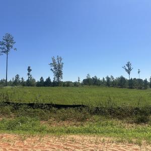 Photo #1 of Lot 3 0 W Old Spring Hope Rd, Spring Hope, NC 1.1 acres