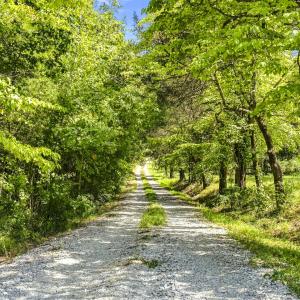 Photo #4 of Lot 5 Green Mountain, Hillsborough, NC 10.0 acres