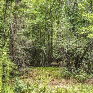 Photo #13 of Lot 5 Green Mountain, Hillsborough, NC 10.0 acres