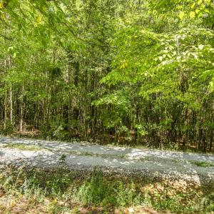 Photo #12 of Lot 5 Green Mountain, Hillsborough, NC 10.0 acres