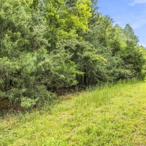 Photo #9 of Lot 5 Green Mountain, Hillsborough, NC 10.0 acres
