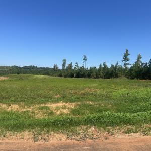 Photo #1 of Lot 4 0 W Old Spring Hope Rd, Spring Hope, NC 0.9 acres