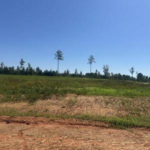 Photo #1 of Lot 5 0 W Old Spring Hope Rd, Spring Hope, NC 0.9 acres