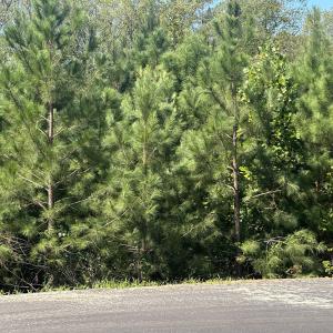 Photo #1 of Lot 15 0 W Old Spring Hope Rd, Spring Hope, NC 2.3 acres