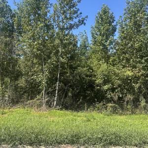 Photo #1 of Lot 21 0 W Old Spring Hope Rd, Spring Hope, NC 3.1 acres