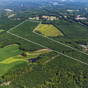 Photo #4 of Thomas Arnold, Zebulon, NC 58.7 acres