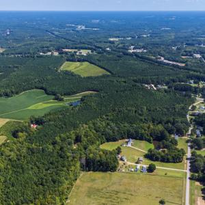 Photo #13 of Thomas Arnold, Zebulon, NC 58.7 acres