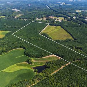 Photo #3 of Thomas Arnold, Zebulon, NC 58.7 acres