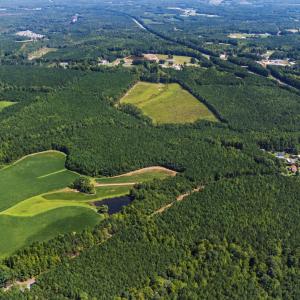 Photo #15 of Thomas Arnold, Zebulon, NC 58.7 acres