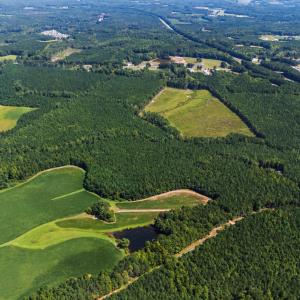 Photo #17 of Thomas Arnold, Zebulon, NC 58.7 acres